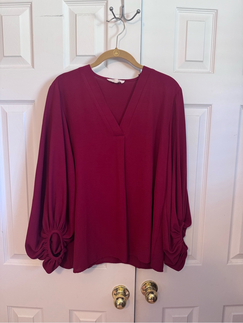 entro Wine-Red V-Neck Balloon Sleeve Blouse